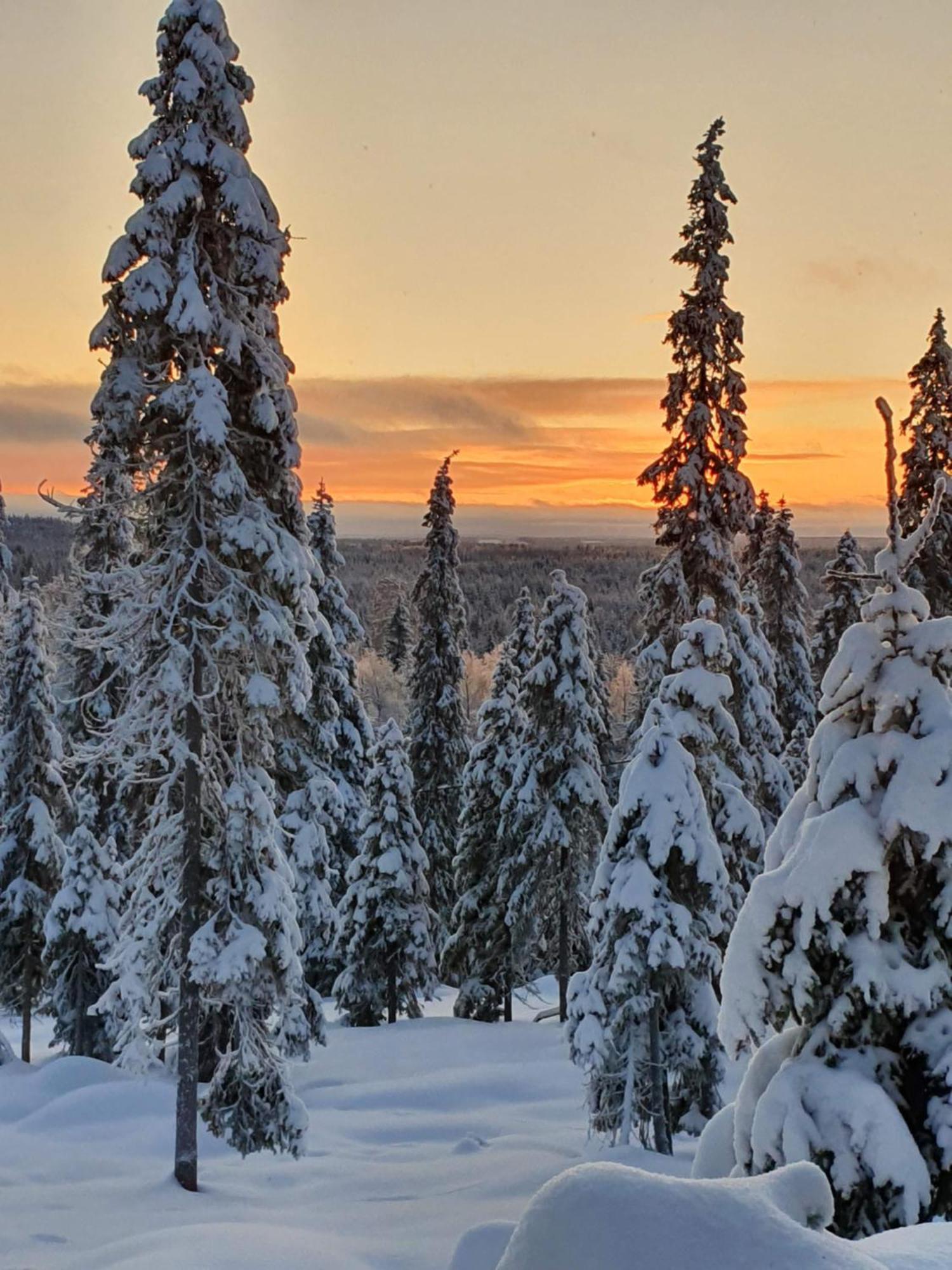Hietavilla Borealis Рука Экстерьер фото
