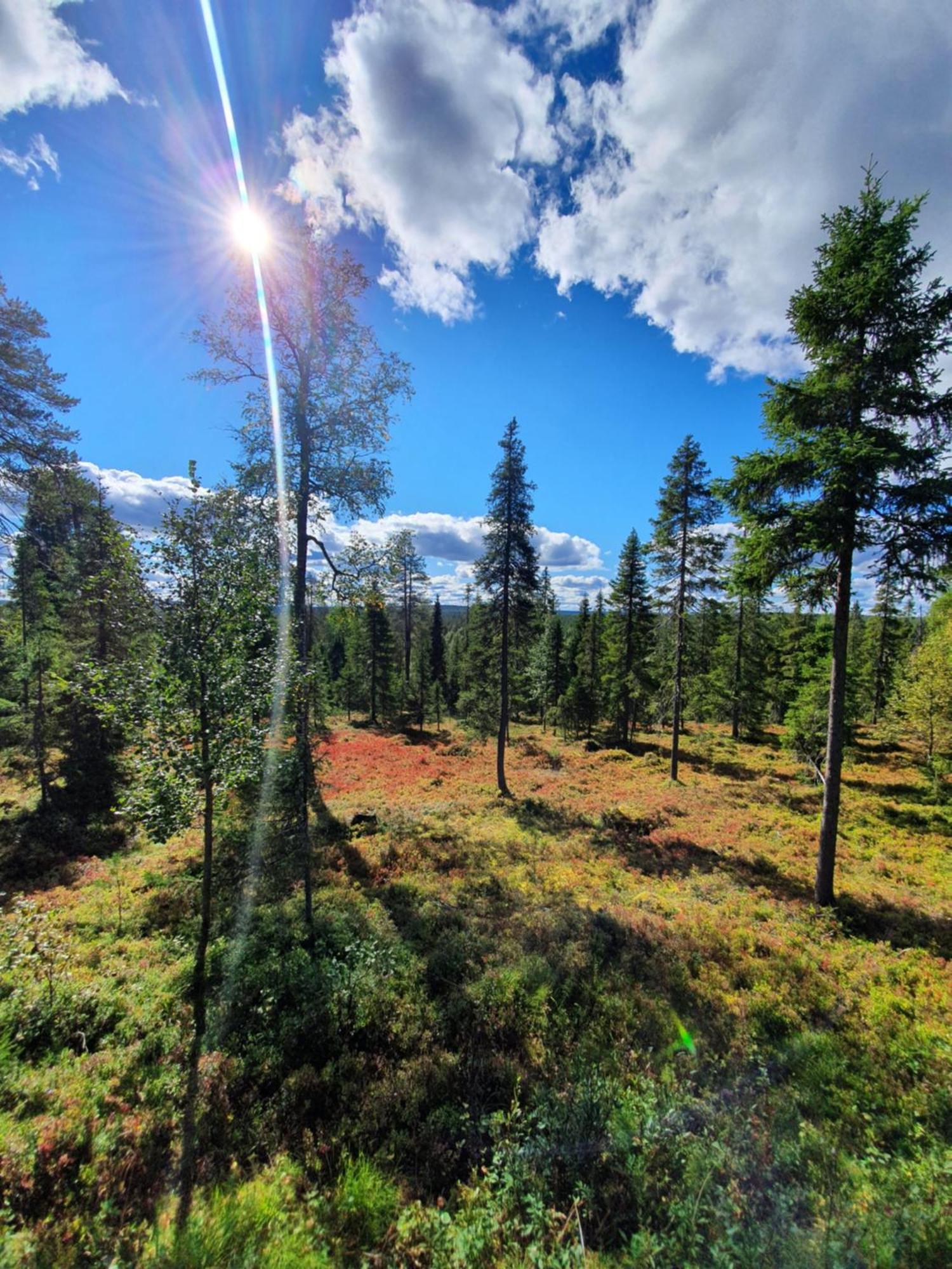 Hietavilla Borealis Рука Экстерьер фото